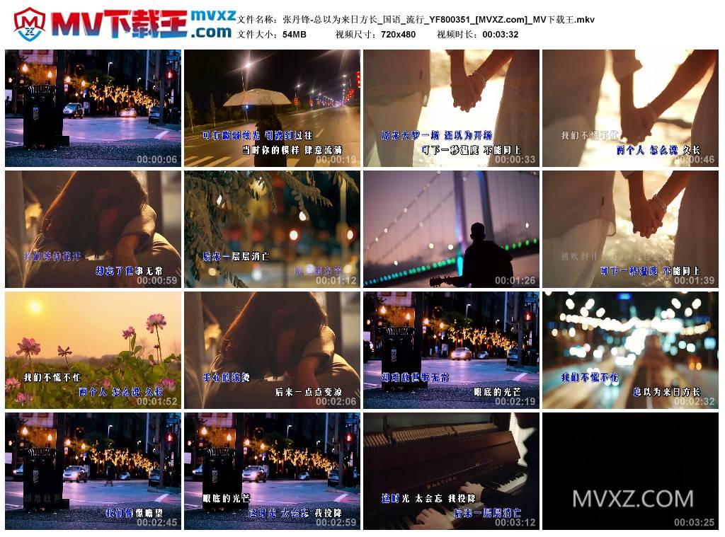 张丹锋-总以为来日方长_国语_流行_YF800351